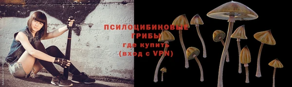 прущая мука Архангельск