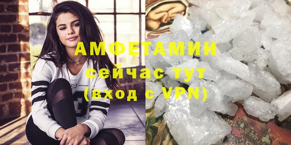 прущие грибы Нижний Тагил