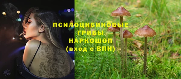мет Алексин