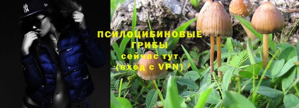 apvp Абинск