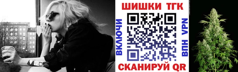где купить наркоту  Заволжье  Каннабис сатива 
